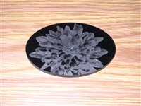 Flower on Granite